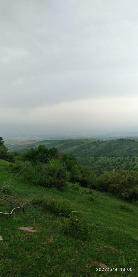 Дом Для Отпуска "Samira" Otel Chimbaylyk Dış mekan fotoğraf